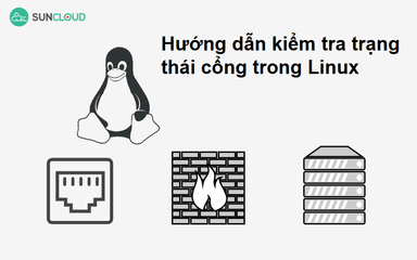 Hướng dẫn kiểm tra trạng thái cổng trong Linux chi tiết nhất