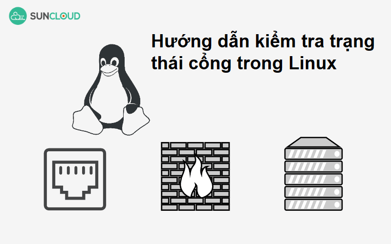 Hình 1. Hướng dẫn kiểm tra trạng thái cổng trong Linux