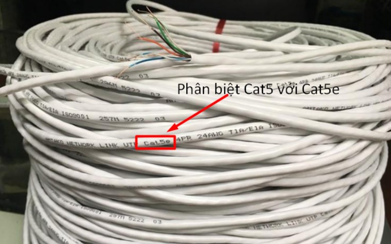 CAT6 có chất lượng tốt và rất được ưa chuộng trong doanh nghiệp và cá nhân sử dụng