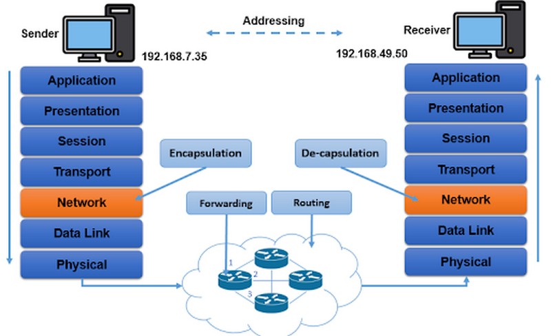 Xác định địa chỉ đích của Network Layer