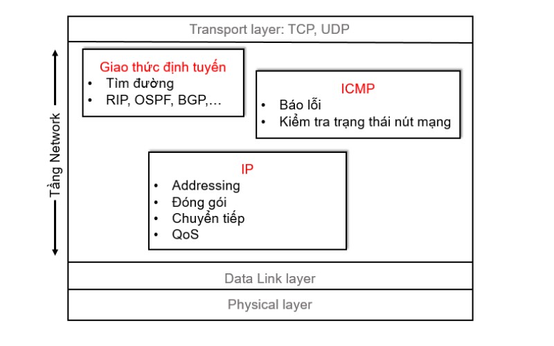 Các giao thức phổ biến được sử dụng ở mô hình mạng OSI