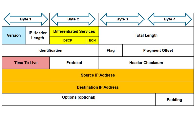 Cấu trúc IP Header