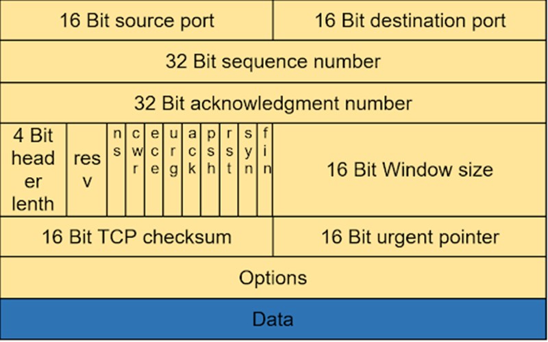 Cấu trúc gói tin TCP