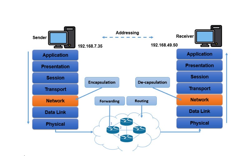 Tầng mạng trong mô hình OSI là điểm mấu chốt giúp giải quyết vấn đề nghẽn mạng