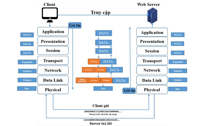 Sơ đồ mô hình cơ bản của OSI