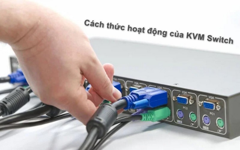 Cách hoạt động của KVM Switch là gì?