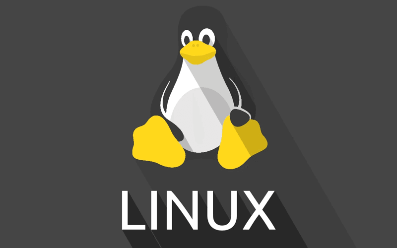 Hình 1.2 - Hệ điều hành Linux