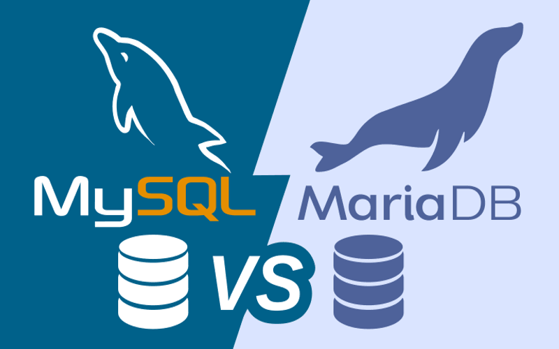 Hình 1.4 - MySQL và MariaDB