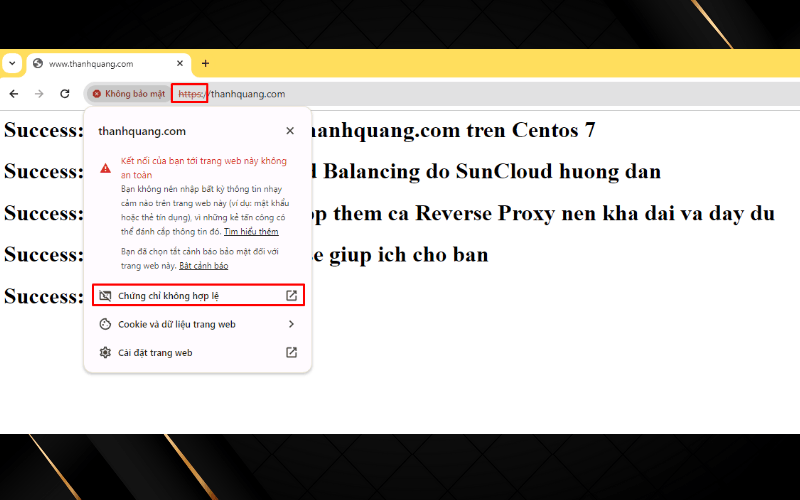 Vào trang web và tiến hành kiểm tra thử bằng cách gõ tên miền của chúng ta.