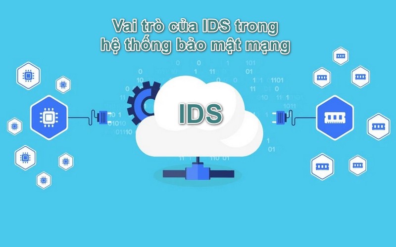 Vai trò của IDS trong hệ thống bảo mật mạng