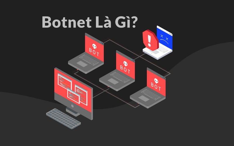 Botnet là gì? 