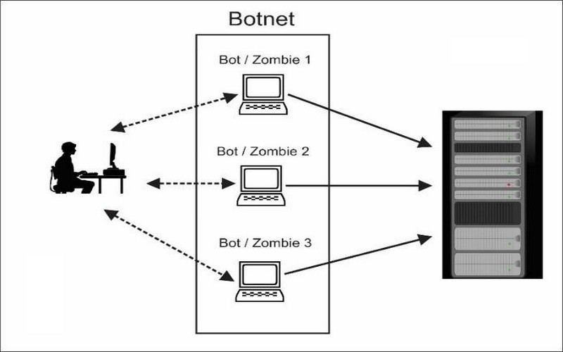 Các loại tấn công Botnet phổ biến