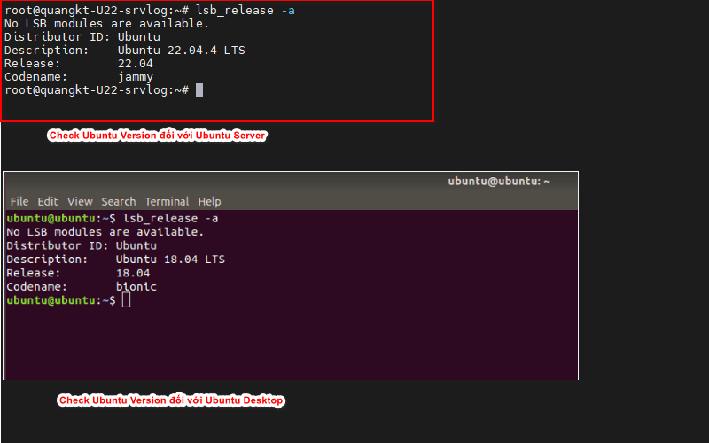Kiểm tra phiên bản Ubuntu trên Server và Desktop