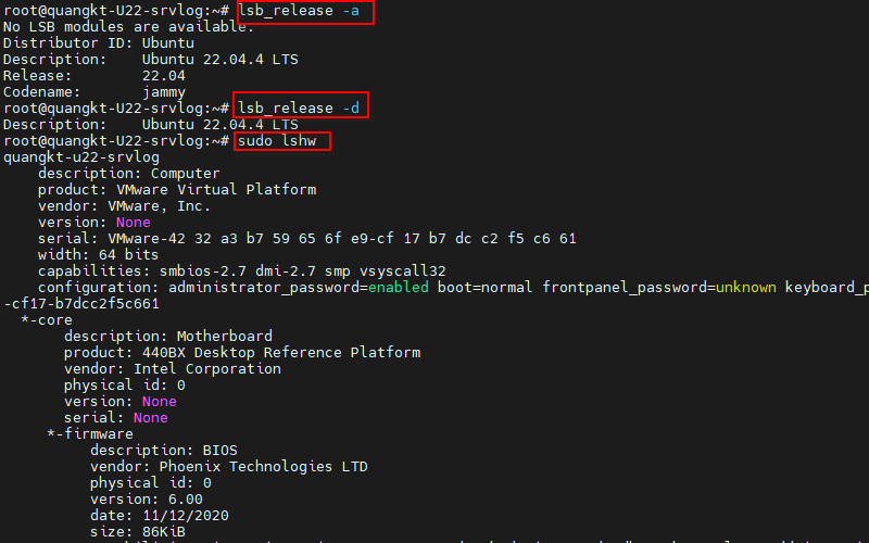 Sử dụng terminal check Ubuntu Version