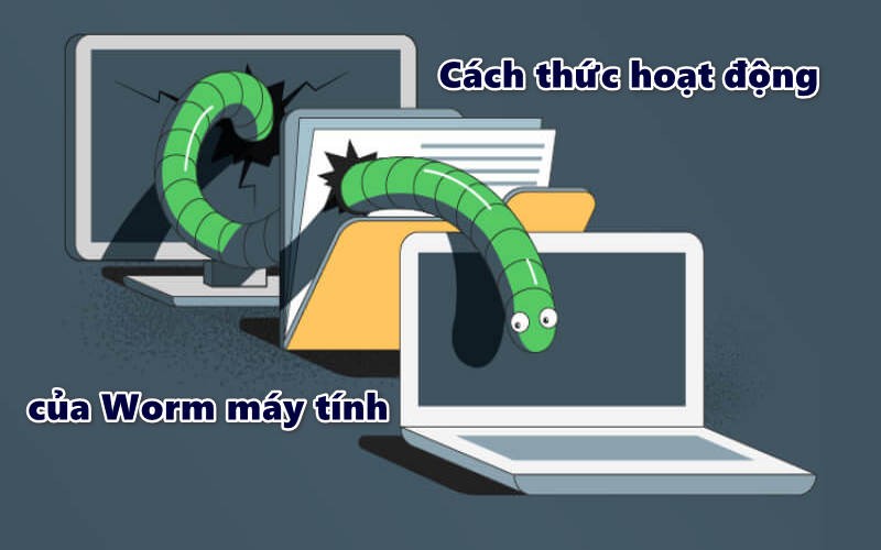 Cách thức hoạt động của Worm máy tính