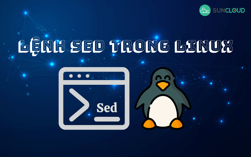 Hình 1. Lệnh sed trong Linux