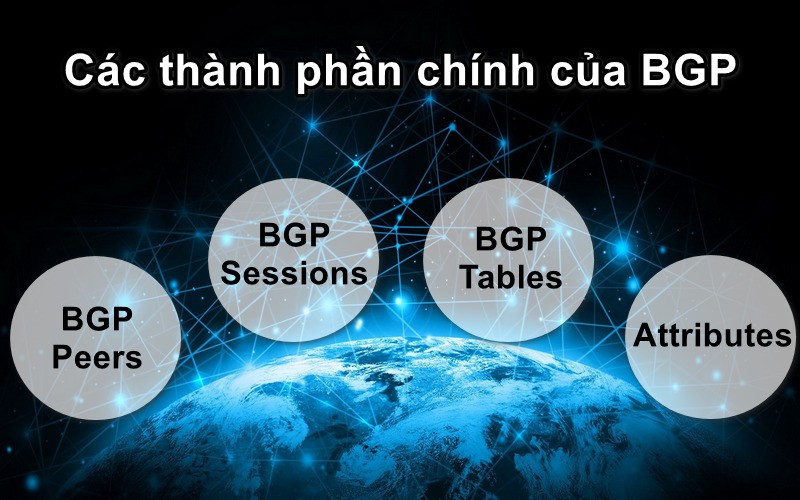 Các thành phần chính của BGP