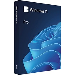 Windows 11 Pro N Upgrade (Ảnh 0)