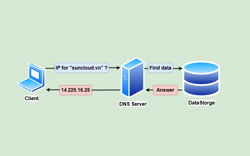 Hình 3. Vai trò của DNS