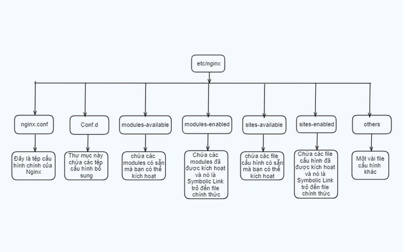 Mô hình vẽ các file thành phần của Nginx