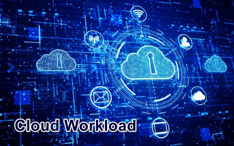 Phân loại Cloud Workload