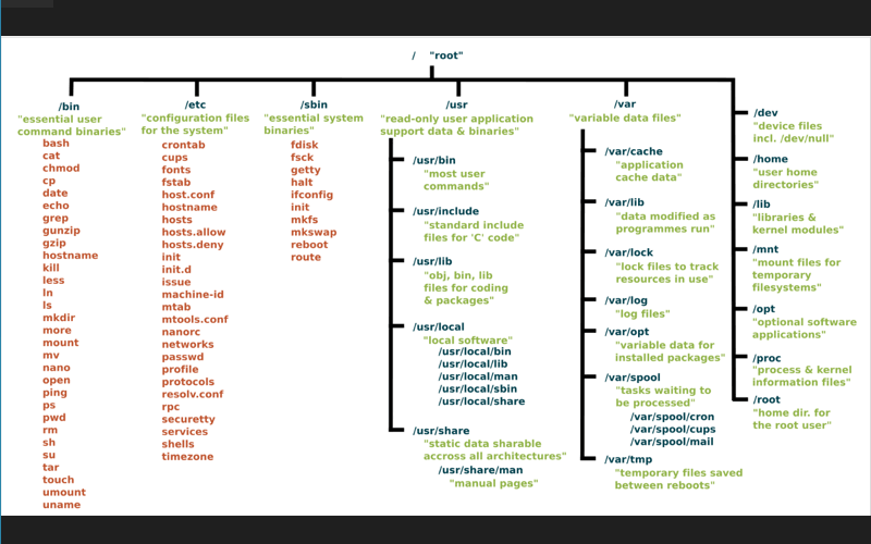 Hình ành thư mục cây trong linux