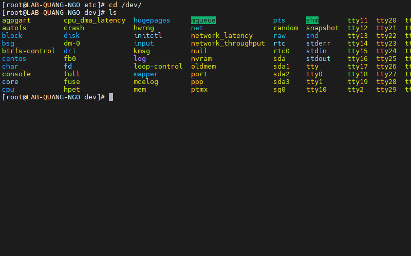 Hình ảnh các file trong thư mục /dev