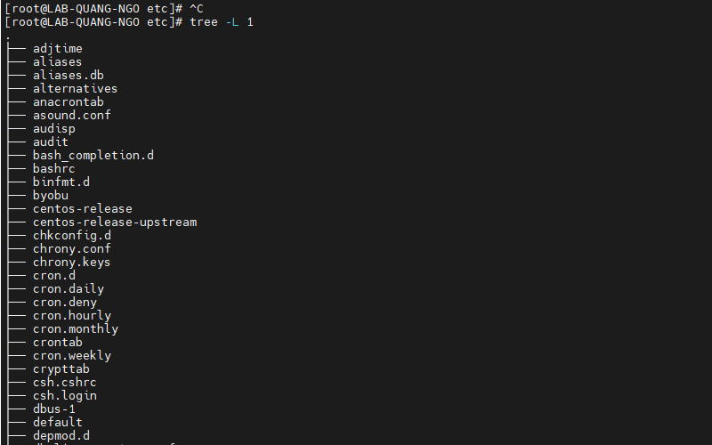Hình ảnh thực tế khi sử dụng lệnh tree -L 1