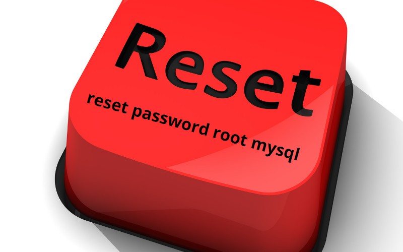 reset password root MySQL