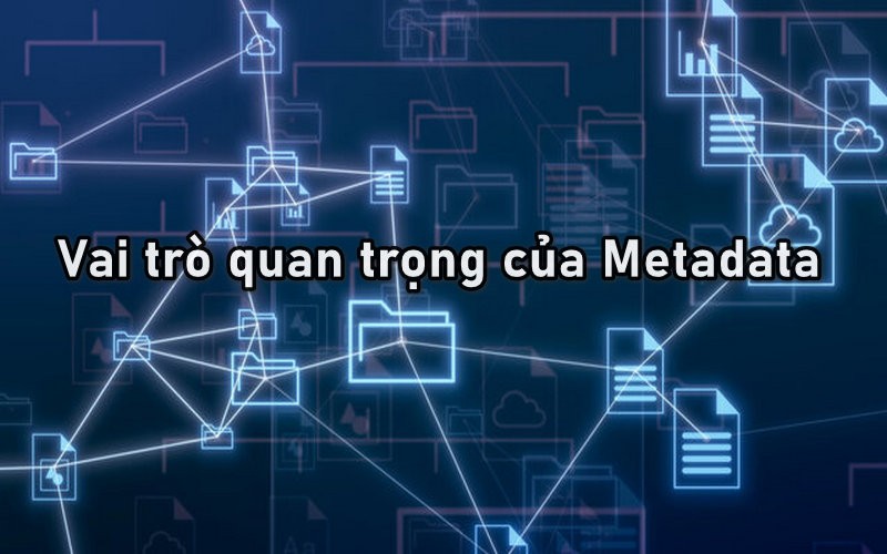 Vai trò quan trọng của Metadata là gì?
