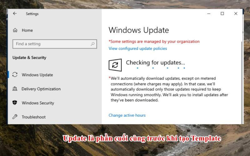 Update cho Windows Server