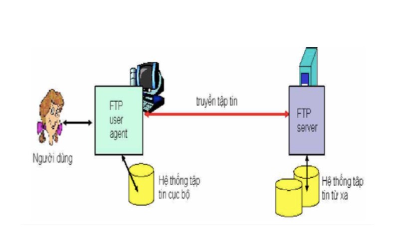 Giao thức FTP xử lý các hoạt động truyền tệp dữ liệu