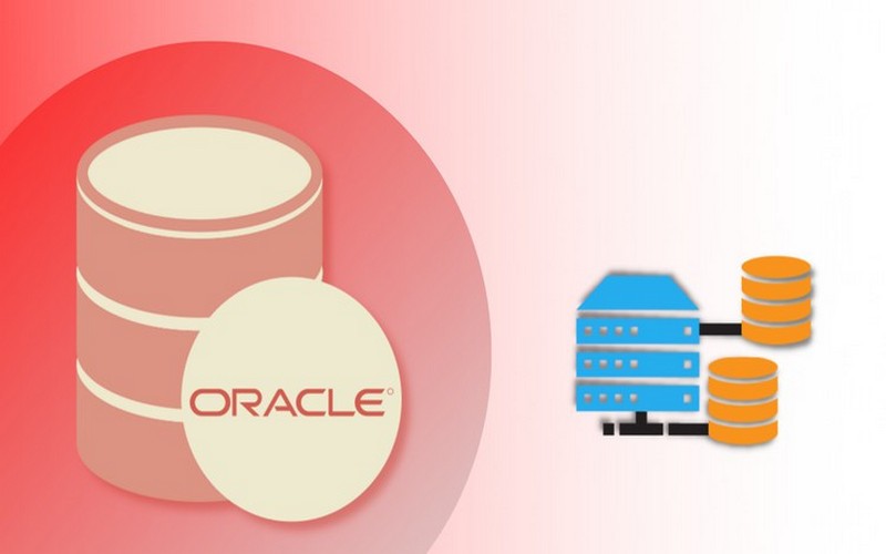 Lý do nên sử dụng phần mềm Oracle là gì?
