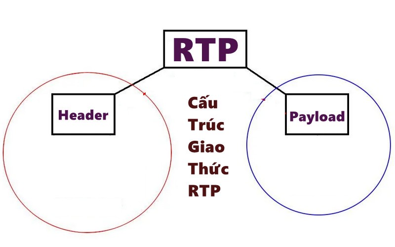 RTP bao gồm hai thành phần chính: Header và Payload