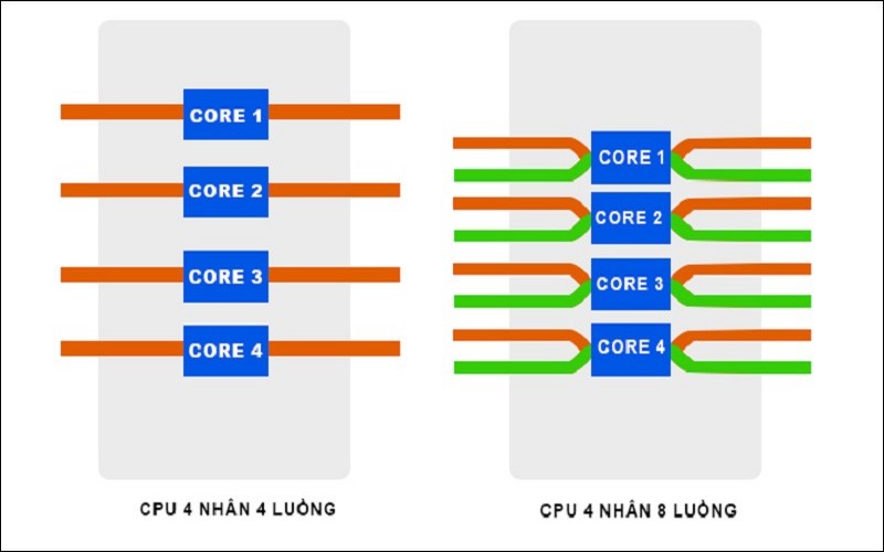 So sánh nhân và luồng CPU