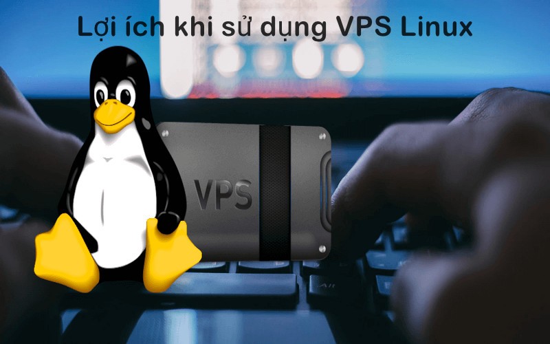 Lợi ích khi sử dụng VPS Linux