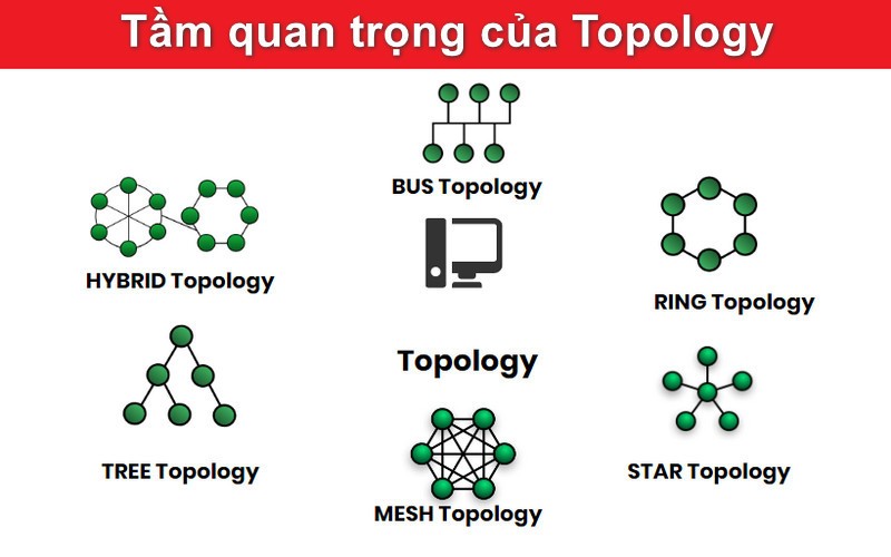 Tầm quan trọng của Topology là gì