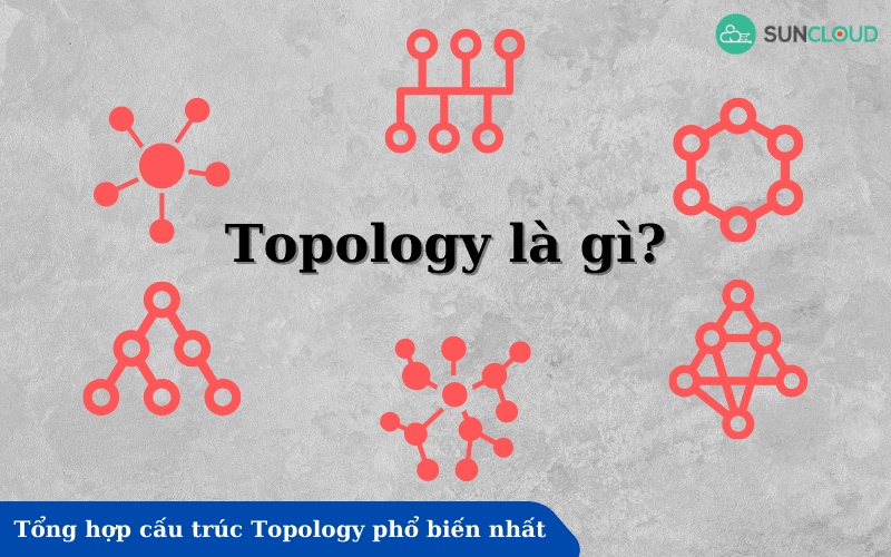 Topology là gì? Tổng hợp cấu trúc Topology phổ biến nhất