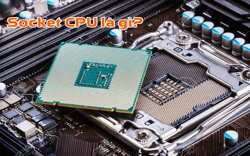 Socket CPU là gì