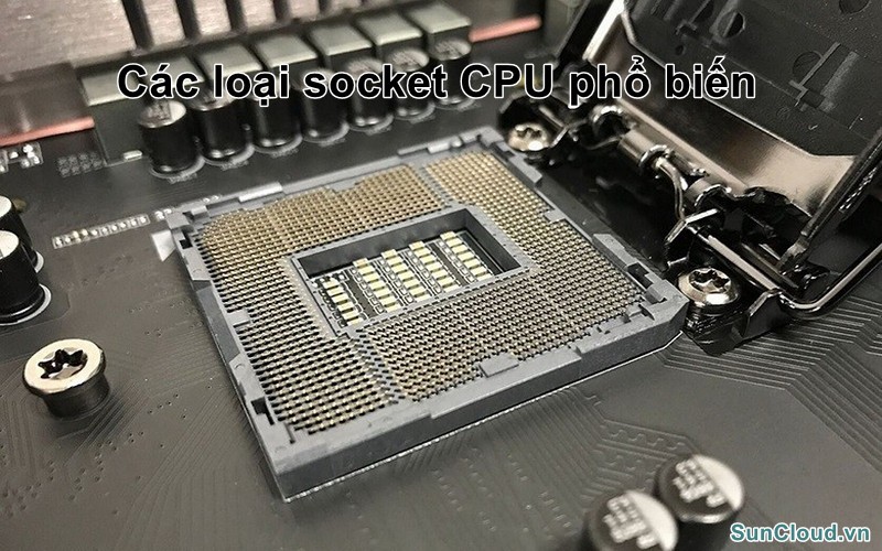 Các loại socket CPU phổ biến