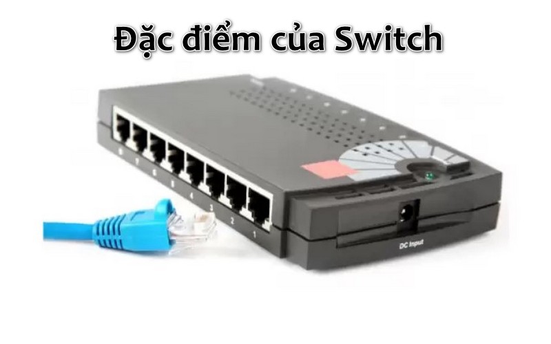 Đặc điểm cơ bản của Switch là gì?