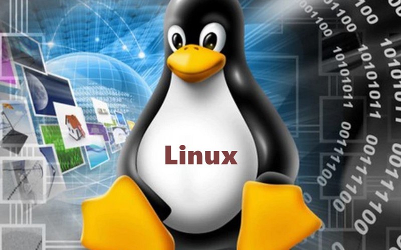 Tổng quan hệ điều hành Linux