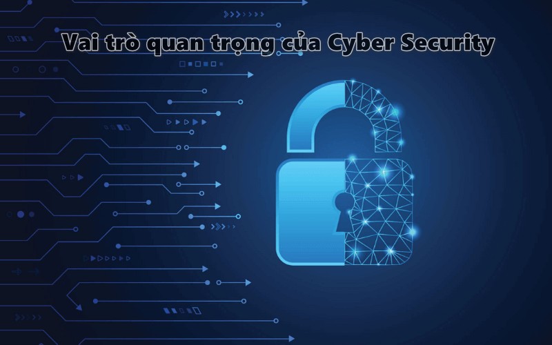 Vai trò quan trọng của Cyber Security là gì?