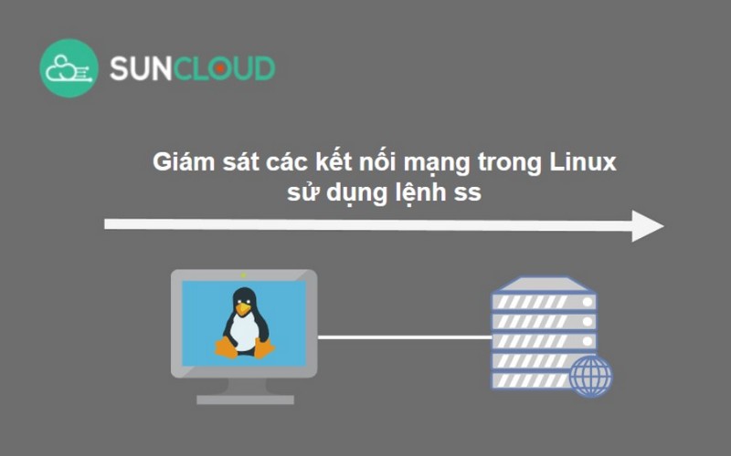 Hướng dẫn sử dụng lệnh “ss” giám sát kết nối mạng trên Linux