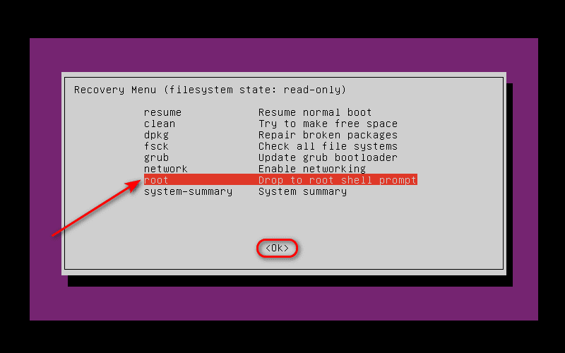 Hình 5. Truy cập vào root shell Reset Password trên Ubuntu