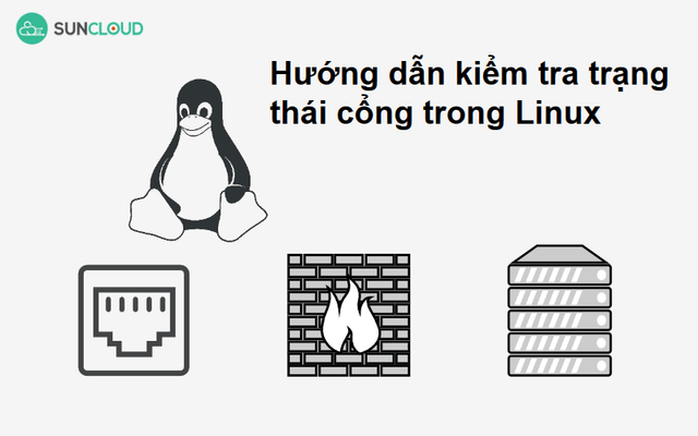 Hướng dẫn kiểm tra trạng thái cổng trong Linux chi tiết nhất