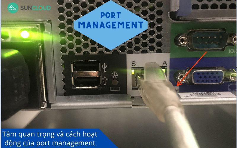 Tìm Hiểu Về Tầm Quan Trọng Và Cách Hoạt động Của Port Management 5950