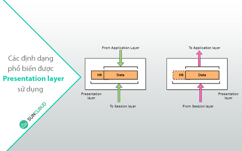 Các định Dạng Phổ Biến được Presentation Layer Sử Dụng